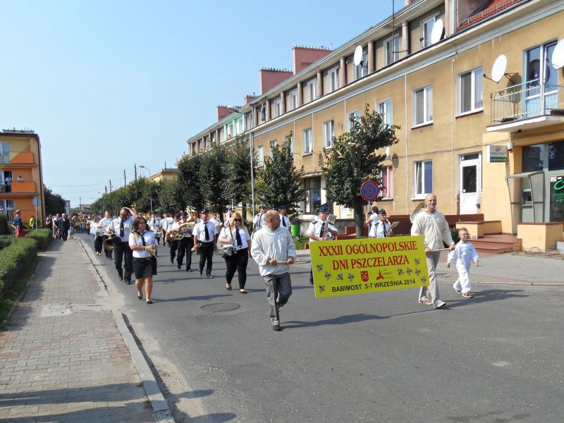 XXXII Ogólnopolskie Dni Pszczelarza w Babimoście - Barwny korowód pszczelarski, który przeszedł ulicami miasta.
Autor zdjęcia: Wiesław Zięba, www.kolodomu.blogspot.com