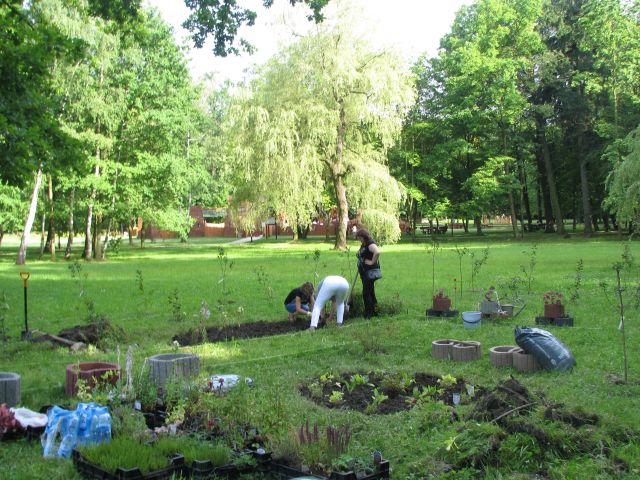 Wykonywanie nasadzeń na rabatach. Autor zdjęcia: Marek Przybysz.