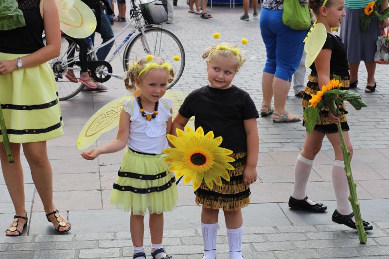 Młode pszczółki podczas przygotowania do parady pszczół XXIII Krakowskiego Miodobrania. Autor zdjęcia: Paweł Balana