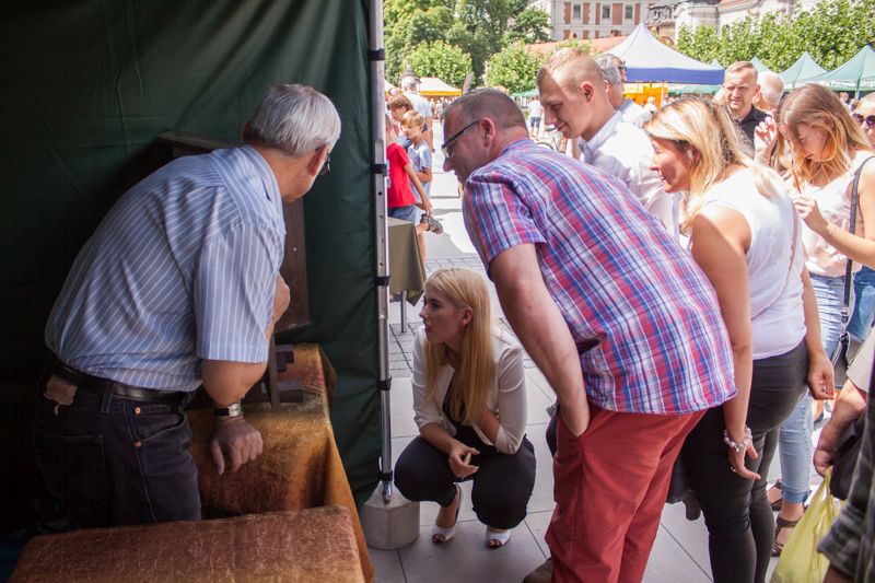 Pszczelarz objaśniający zainteresowanym uczestnikom VII Święta Miodu w Pszczynie funkcjonowanie rodziny pszczelej. Autor zdjęcia: Kazimierz Wiśniowski