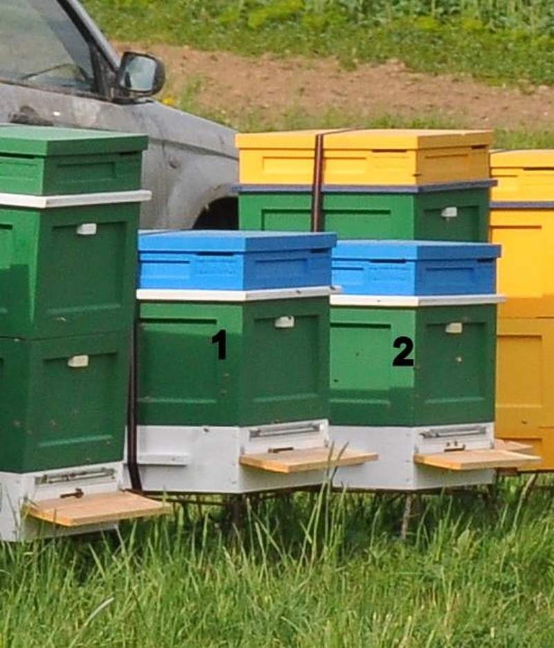 Skradzione dwa ule producenta Burnat w okolicy Kłodzka