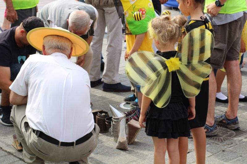 Najmłodsi uczestnicy parady pszczół XXIII Krakowskiego Miodobrania poznają tajniki rozpalania podkurzaczy. Autor zdjęcia: Paweł Balana