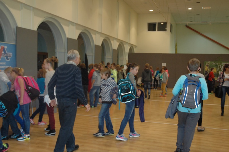 Wystawa: Pszczelarze w służbie człowiekowi