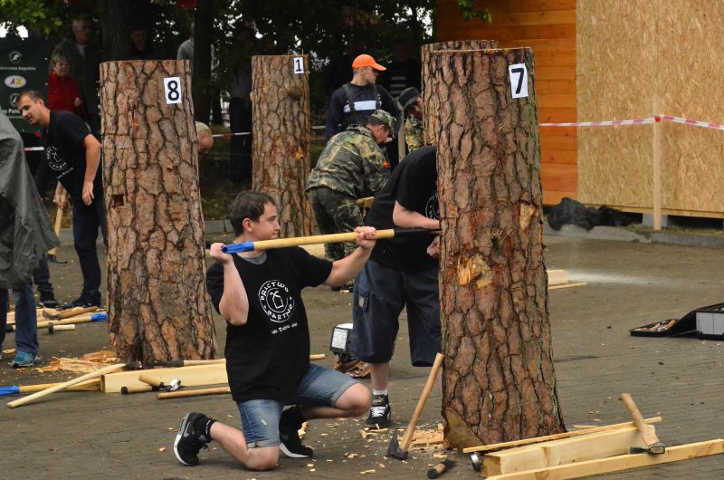 Barciowisko 2015. Autor zdjęć: Katarzyna Judycka (Pasieka u Alfreda).