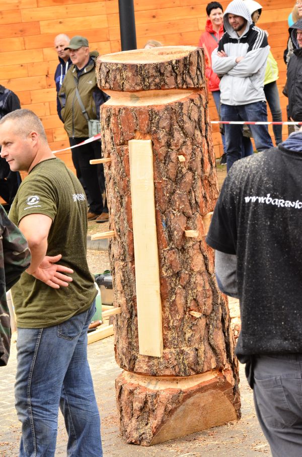 Barciowisko 2015. Autor zdjęć: Katarzyna Judycka (Pasieka u Alfreda).