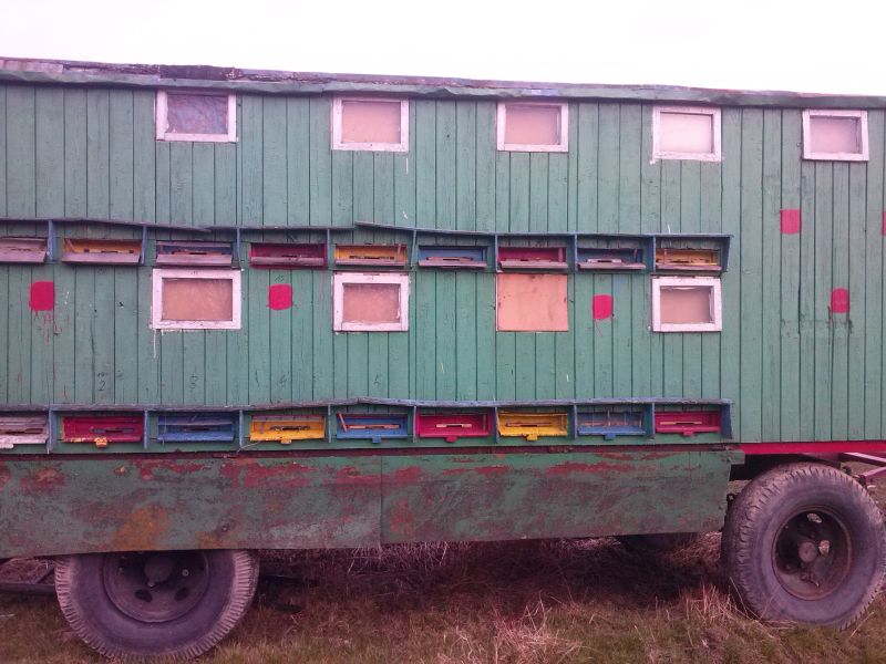 Pawilon pszczelarski pszczelarza z Olszanicy. Widok na wylotki.