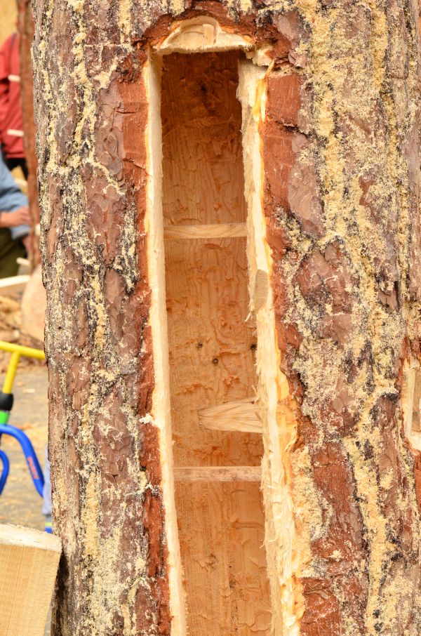 Barciowisko 2015. Autor zdjęć: Katarzyna Judycka (Pasieka u Alfreda).