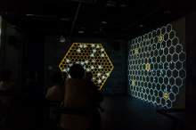 Relacja z wydarzenia pt. Festiwal Kultury Pszczelarskiej w Lublinie 2023