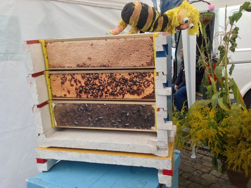 Trzy ramki i pszczoła. XXII Krakowskie Miodobranie