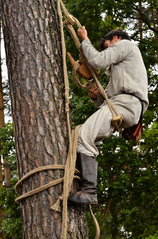 Barciowisko 2015. Autor zdjęć: Katarzyna Judycka (Pasieka u Alfreda).