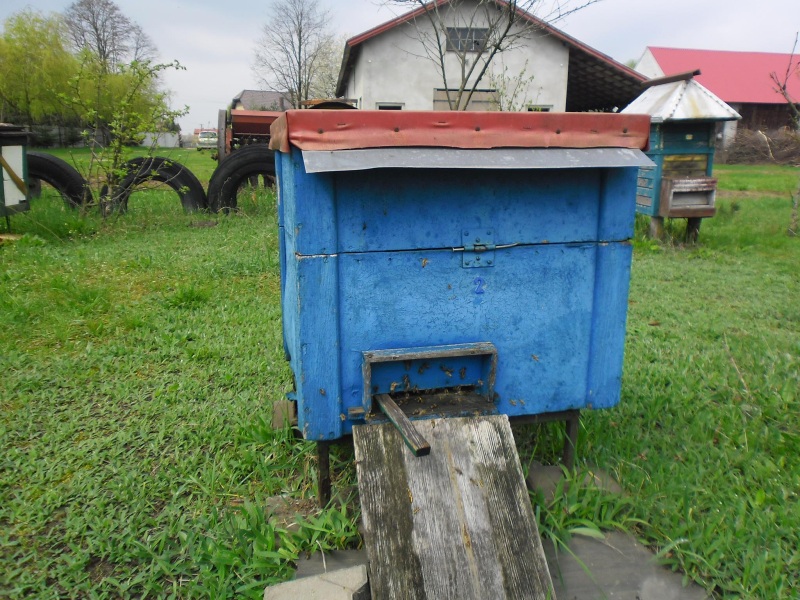 Ule. Autor zdjęcia: Teresa Jakubowska