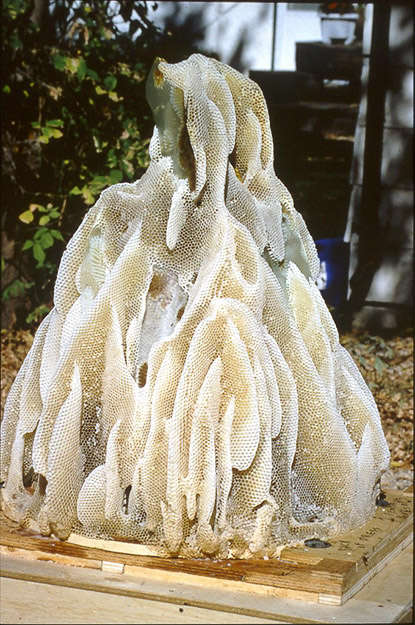 Suknia ślubna udekorowana przez pszczoły. Autorka: Aganetha Dyck. Fotografia: Peter Dyck & The W.A.G. Źródło: www.aganethadyck.ca Artystka udzieliła nam pisemnej zgody na publikację fotografii jej prac.