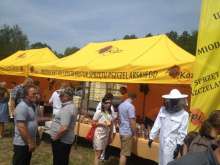 Namiot producenta uli i dystrybutora sprzętu pszczelarskiego firmy ApiKoz podczas XV Spotkania Pszczelarzy na Trutowisku w Murckach.