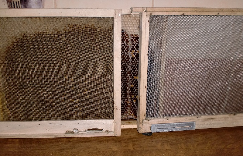 Izolator do poddawania matek. Wykonanie: Zdzisław Begierski. Autor zdjęcia: Zdzisław Begierski