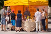 Stoisko wystawiennicze Gospodarstwa Pasiecznego Natura podczas wydarzenia o nazwie: VII Święto Miodu w Pszczynie. Autor zdjęcia: Kazimierz Wiśniowski