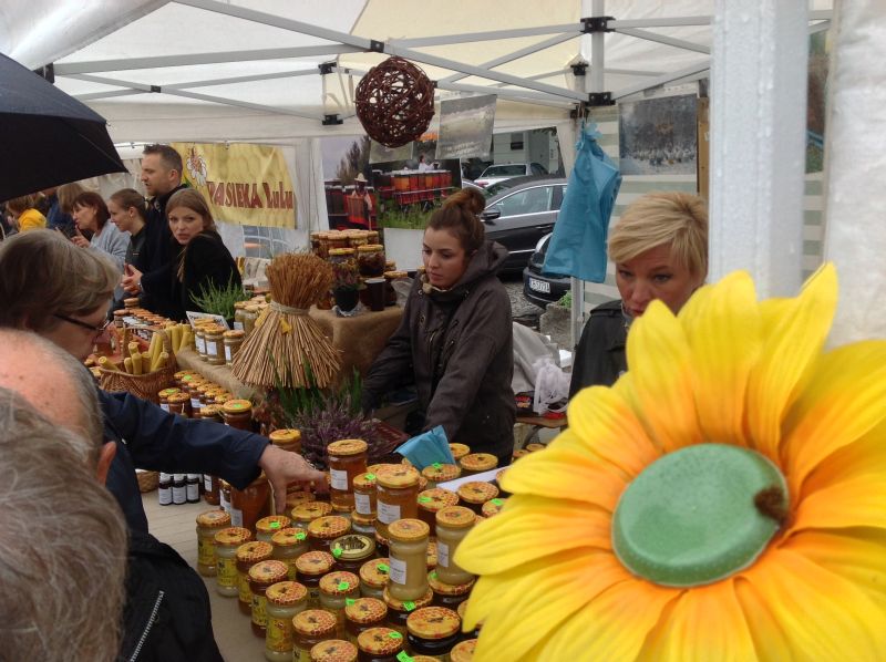 Wystawcy. XXII Krakowskie Miodobranie