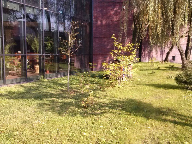 Mało widoczny z chodnika (co widać na zdjęciu) domek dla dzikich zapylaczy w Jaworznie. Autor zdjęcia: Marcin Balana