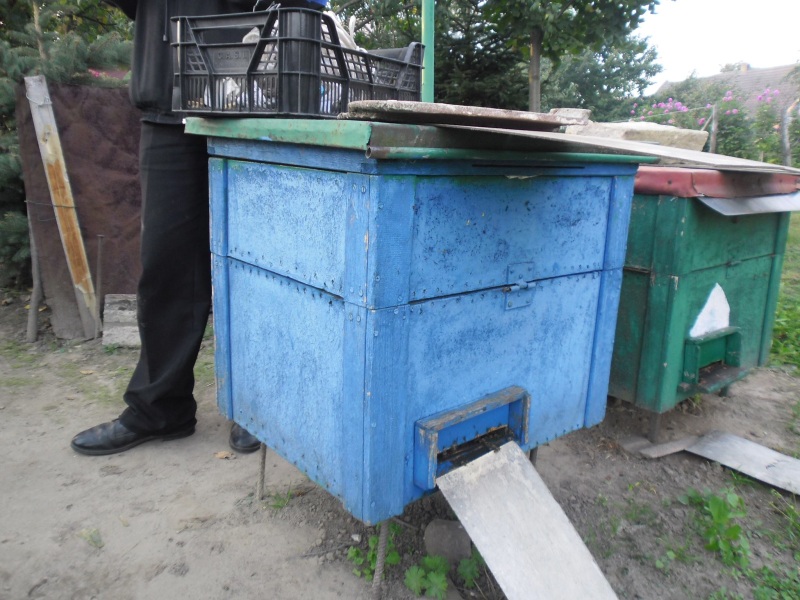 Ule. Autor zdjęcia: Teresa Jakubowska