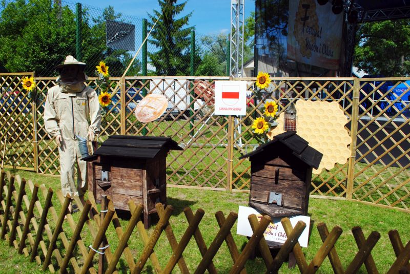 IV Festiwal Miodu i Chleba w Kamieńczyku (02.08.2015 r.).