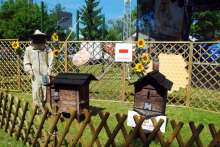 IV Festiwal Miodu i Chleba w Kamieńczyku (02.08.2015 r.).