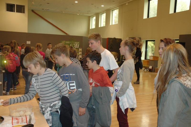 Wystawa: Pszczelarze w służbie człowiekowi