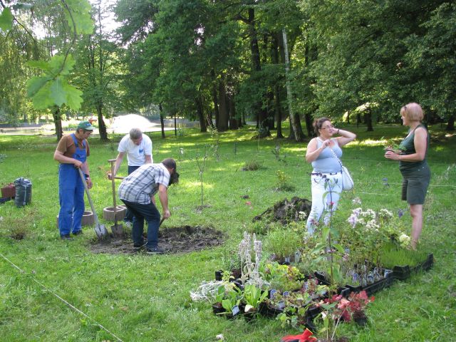 Przygotowanie rabat do nasadzeń bylin. Autor zdjęcia: Marek Przybysz.