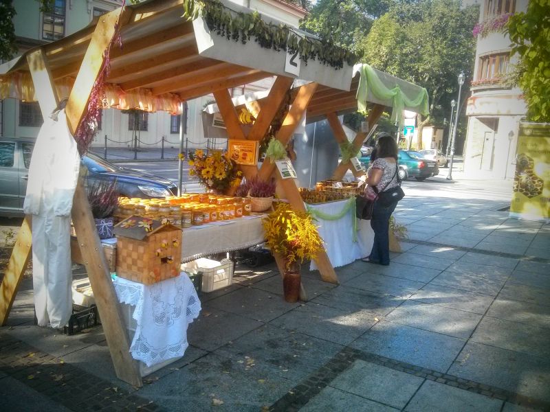 Stoiska pszczelarzy podczas V Krzeszowickiego Miodobrania. Autorka zdjęcia: Renata Gasek