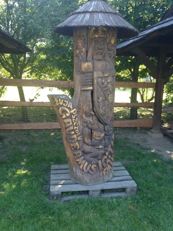 Żyją pszczoły! Gaudeamus igitur!