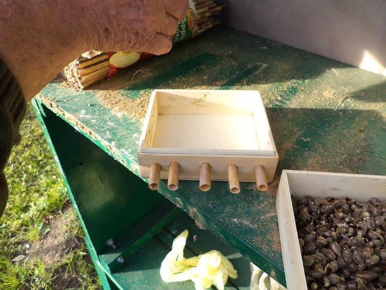 Autor zdjęcia: Łukasz Netczuk