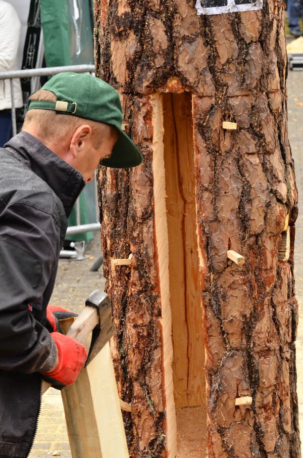 Barciowisko 2015. Autor zdjęć: Katarzyna Judycka (Pasieka u Alfreda).