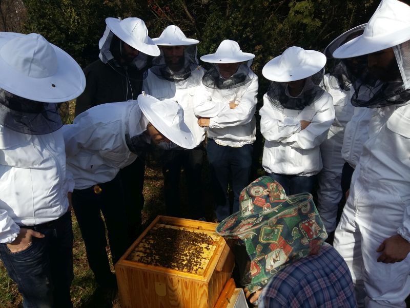 Otwarty ul z łagodnymi pszczołami i zaciekawieni pszczelarze to miód na serce wykładowcy.