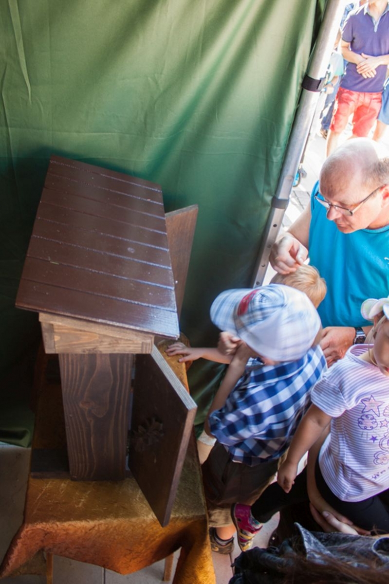 Ul pokazowy na VII Święcie Miodu w Pszczynie. Autor zdjęcia: Kazimierz Wiśniowski