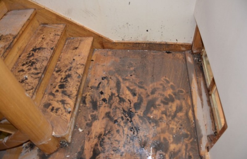 Schody po pożarze domu pszczelarza z Łojowic.