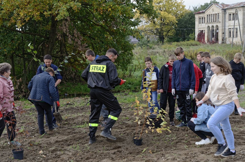 Tworzenie ogrodów miododajnych w gminie Szczurowa w 2021 roku. Autor zdjęcia: Łukasz Jaje