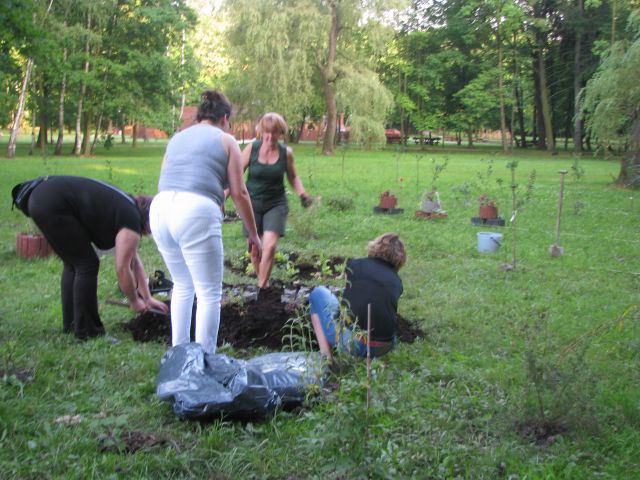 Wykonanie rabaty pod domek dla owadów zapylających. Autor zdjęcia: Marek Przybysz.