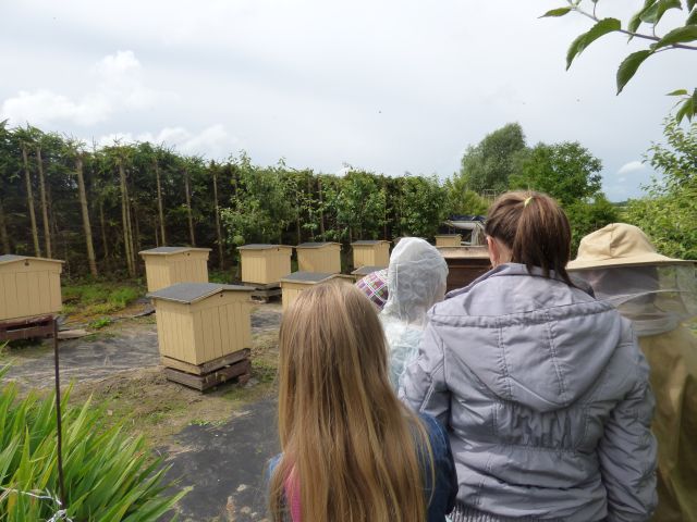 Pasieka Państwa Kotwas  - wycieczka do pasieki w Boguszynach. Źródło zdjęcia: materiały przez p. Agnieszkę Gałwa.