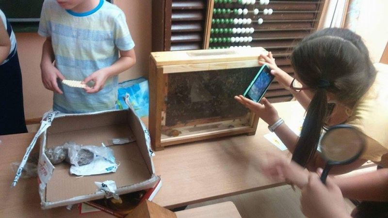 Ulik pokazowy na warsztatach pszczelarskich  w Szkole Podstawowej nr 313 w Warszawie. Autor zdjęcia: Piotr Nowotnik