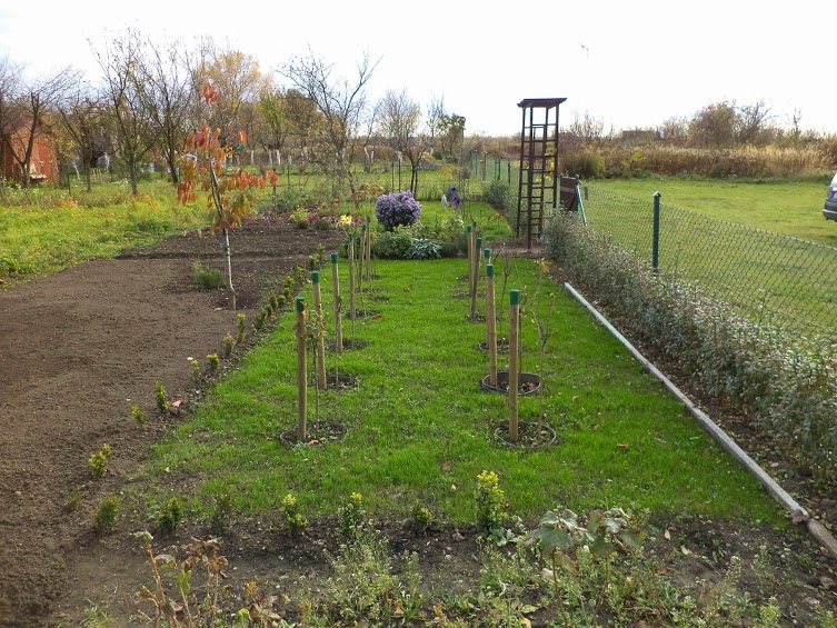 Autor zdjęcia: Łukasz Netczuk