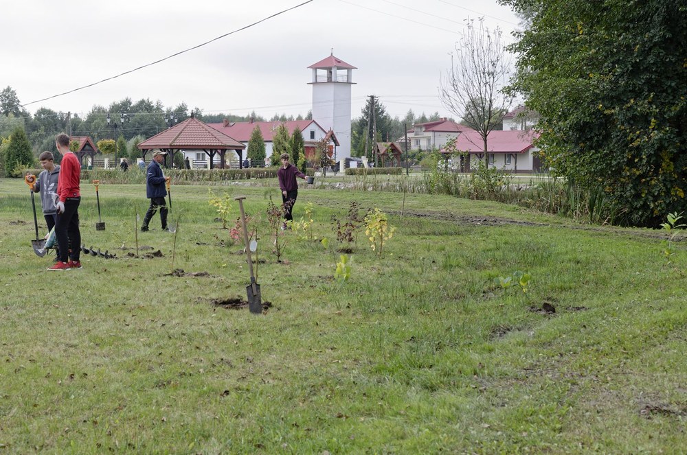 Tworzenie ogrodów miododajnych w gminie Szczurowa w 2021 roku. Autor zdjęcia: Łukasz Jaje