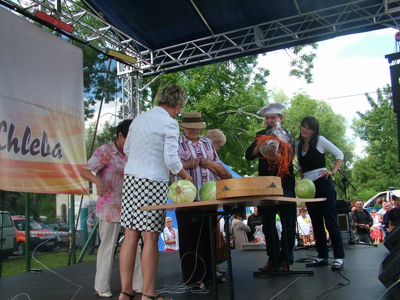 I Festiwal Miodu i Chleba w Kamieńczyku (12.08.2012 r.).