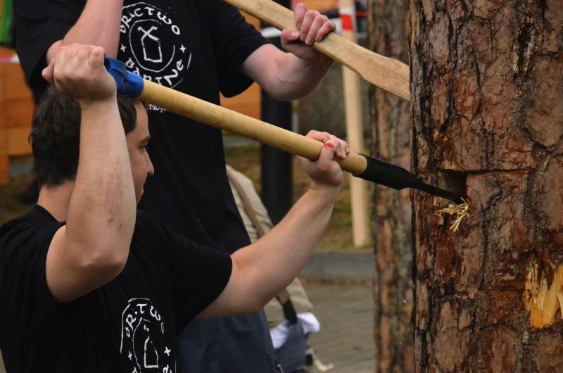 Barciowisko 2015. Autor zdjęć: Katarzyna Judycka (Pasieka u Alfreda).