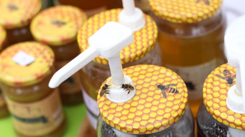 Pszczoły na słoiku podczas XXIII Krakowskiego Miodobrania. Autor zdjęcia: Paweł Balana