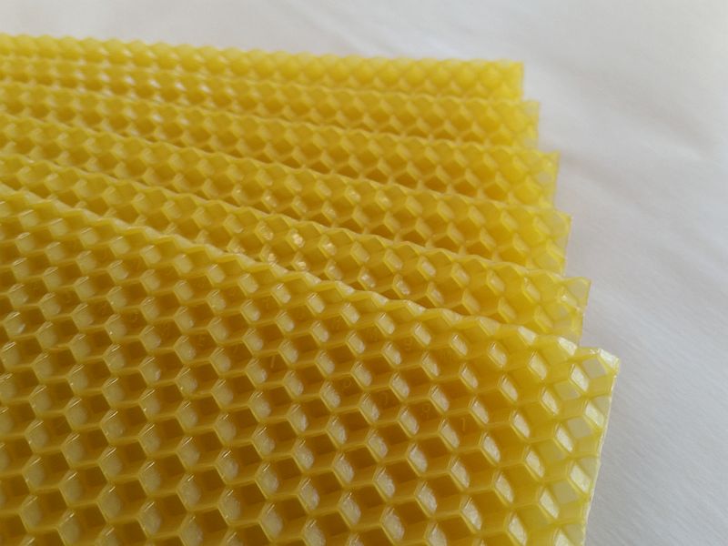 Idealna węza pszczela od polskiej firmy Pszczeli Port