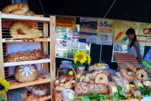 IV Festiwal Miodu i Chleba w Kamieńczyku (02.08.2015 r.).