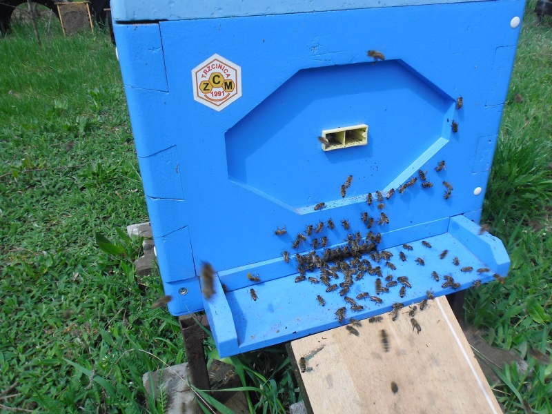 Ul styropianowy. Autor zdjęcia: Teresa Jakubowska