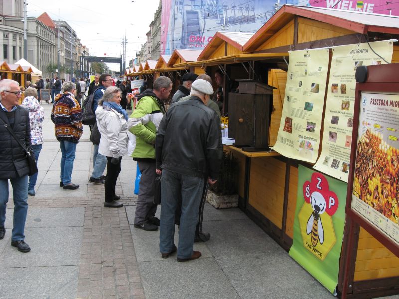 Klienci II Festiwalu Miodu w Katowicach. Autor zdjęcia: Kazimierz Wiśniowski