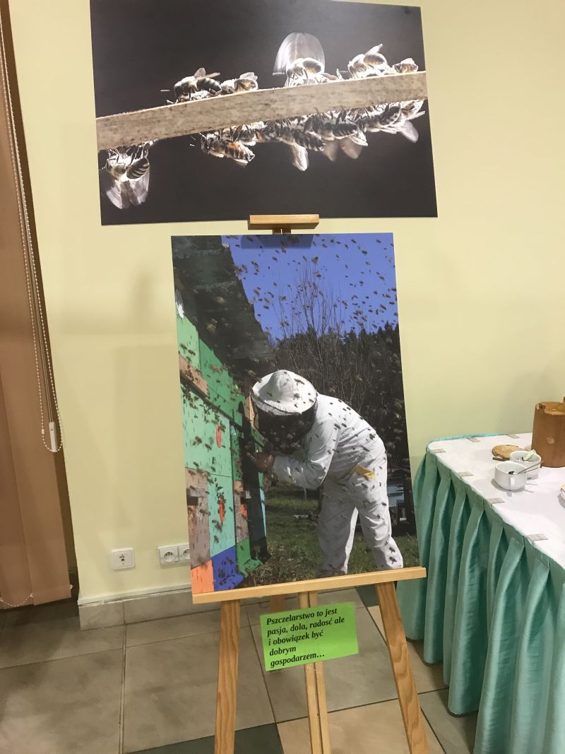 Zdjęcia Milana Motyki zaprezentowane 19 czerwca 2017 r. w Spale podczas Międzynarodowej Konferencji Bartniczej pn. Dekada Polskiego Bartnictwa. Autor zdjęć: Małgorzata Brendel