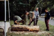 Relacja z wydarzenia pt. Festiwal Kultury Pszczelarskiej w Lublinie 2023