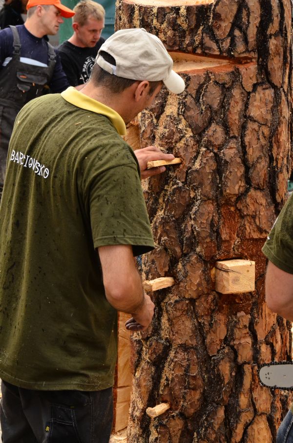 Barciowisko 2015. Autor zdjęć: Katarzyna Judycka (Pasieka u Alfreda).