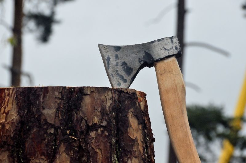 Barciowisko 2015. Autor zdjęć: Katarzyna Judycka (Pasieka u Alfreda).